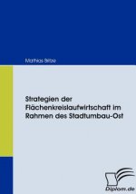 Strategien der Flachenkreislaufwirtschaft im Rahmen des Stadtumbau-Ost