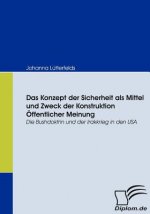 Konzept der Sicherheit als Mittel und Zweck der Konstruktion OEffentlicher Meinung