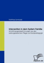 Intervention in dem System Familie
