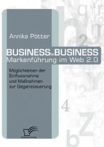 Business-to-Business Markenfuhrung im Web 2.0