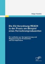 EU-Verordnung REACH in der Praxis am Beispiel eines Ferrochromproduzenten