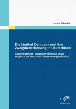 Limited Company und ihre Zweigniederlassung in Deutschland