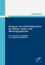 Analysen von Volatilitatssmiles fur Aktien-, Index- und Wahrungsoptionen