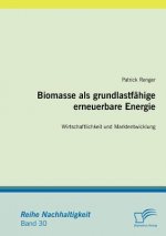 Biomasse als grundlastfahige erneuerbare Energie