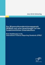 Bilanzrechtsmodernisierungsgesetz (BilMoG) und seine Auswirkungen auf den handelsrechtlichen Einzelabschluss