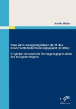 Neue Aktivierungsmoeglichkeit durch das Bilanzrechtsmodernisierungsgesetz (BilMoG)