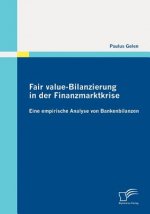Fair value-Bilanzierung in der Finanzmarktkrise
