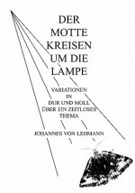 Motte Kreisen um die Lampe