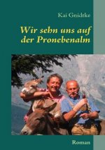 Wir sehn uns auf der Pronebenalm