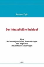 Der intrazelluläre Kreislauf