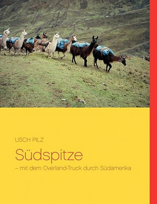 Sudspitze