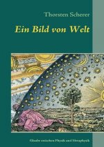 Bild von Welt