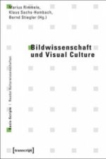 Bildwissenschaft und Visual Culture