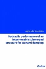 Hydraulic performance of an impermeable submerged structure for tsunami damping