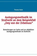 Auslegungsmethodik im Strafrecht an dem Beispielsfall  