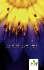 Leitung zum Gluck.