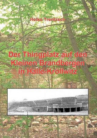 Thingplatz auf den Kleinen Brandbergen in Halle-Kroellwitz