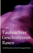 Taufeuchter Geschnittener Rasen