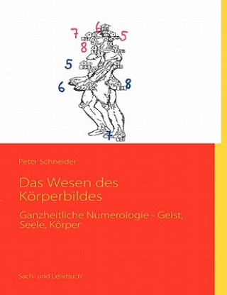 Wesen des Koerperbildes