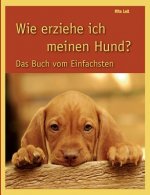 Wie erziehe ich meinen Hund