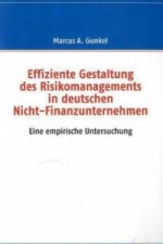 Effiziente Gestaltung des Risikomanagements in deutschen Nicht-Finanzunternehmen