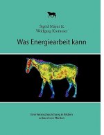 Was Energiearbeit kann