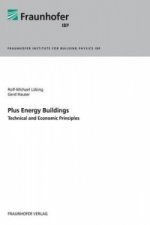 Plus Energy Buildings - Technical and Economic Principles.