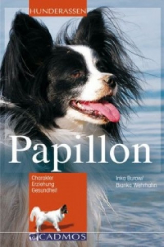 Papillon