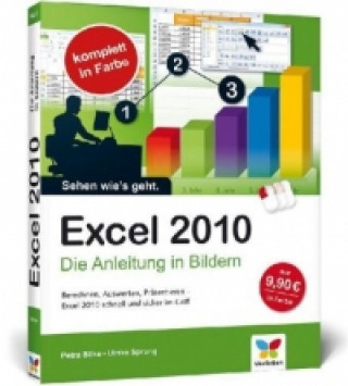 Excel 2010