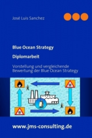 Blue Ocean Strategy - Diplomarbeit