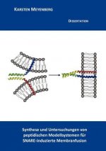 Synthese und Untersuchungen von peptidischen Modellsystemen fur SNARE-induzierte Membranfusion