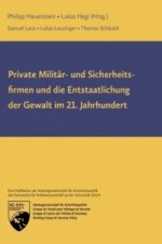 Private Militär- und Sicherheitsfirmen und die Entstaatlichung der Gewalt im 21. Jahrhundert