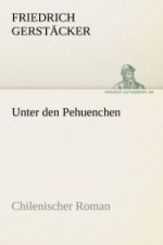 Unter den Pehuenchen