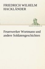 Feuerwerker Wortmann Und Andere Soldatengeschichten