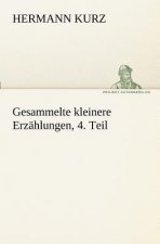 Gesammelte Kleinere Erzahlungen, 4. Teil