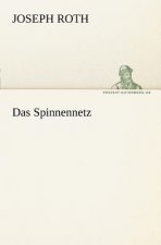 Spinnennetz