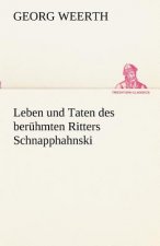 Leben Und Taten Des Beruhmten Ritters Schnapphahnski