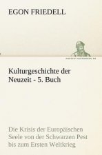 Kulturgeschichte der Neuzeit - 5. Buch