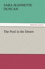Pool in the Desert