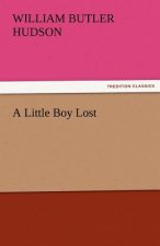 Little Boy Lost