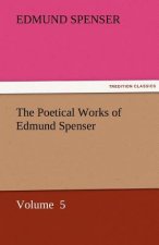 Poetical Works of Edmund Spenser