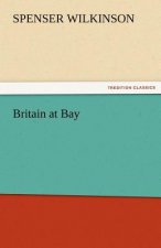 Britain at Bay