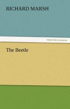 Beetle