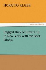 Ragged Dick or Street Life in New York with the Boot-Blacks