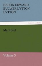 My Novel