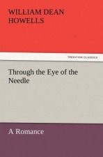 Through the Eye of the Needle