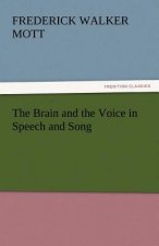 Brain and the Voice in Speech and Song