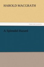 Splendid Hazard