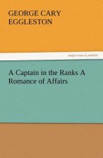 Captain in the Ranks a Romance of Affairs
