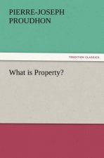 What Is Property?
